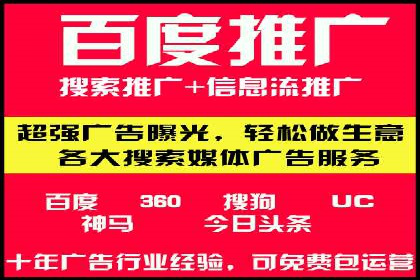百度竞价广告与自然搜索排名的结合策略案例